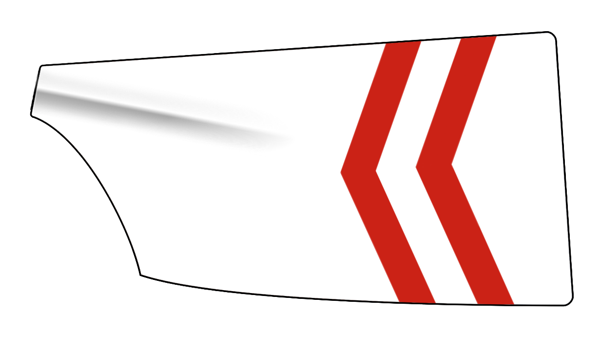 Polonia Pozna